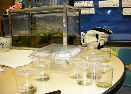 An ocean experiment in the classroom