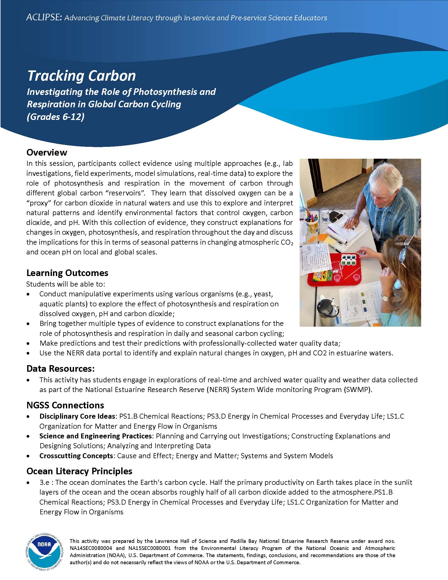 Image of Summary of Tracking Carbon: Photosynthesis and Respiration activity